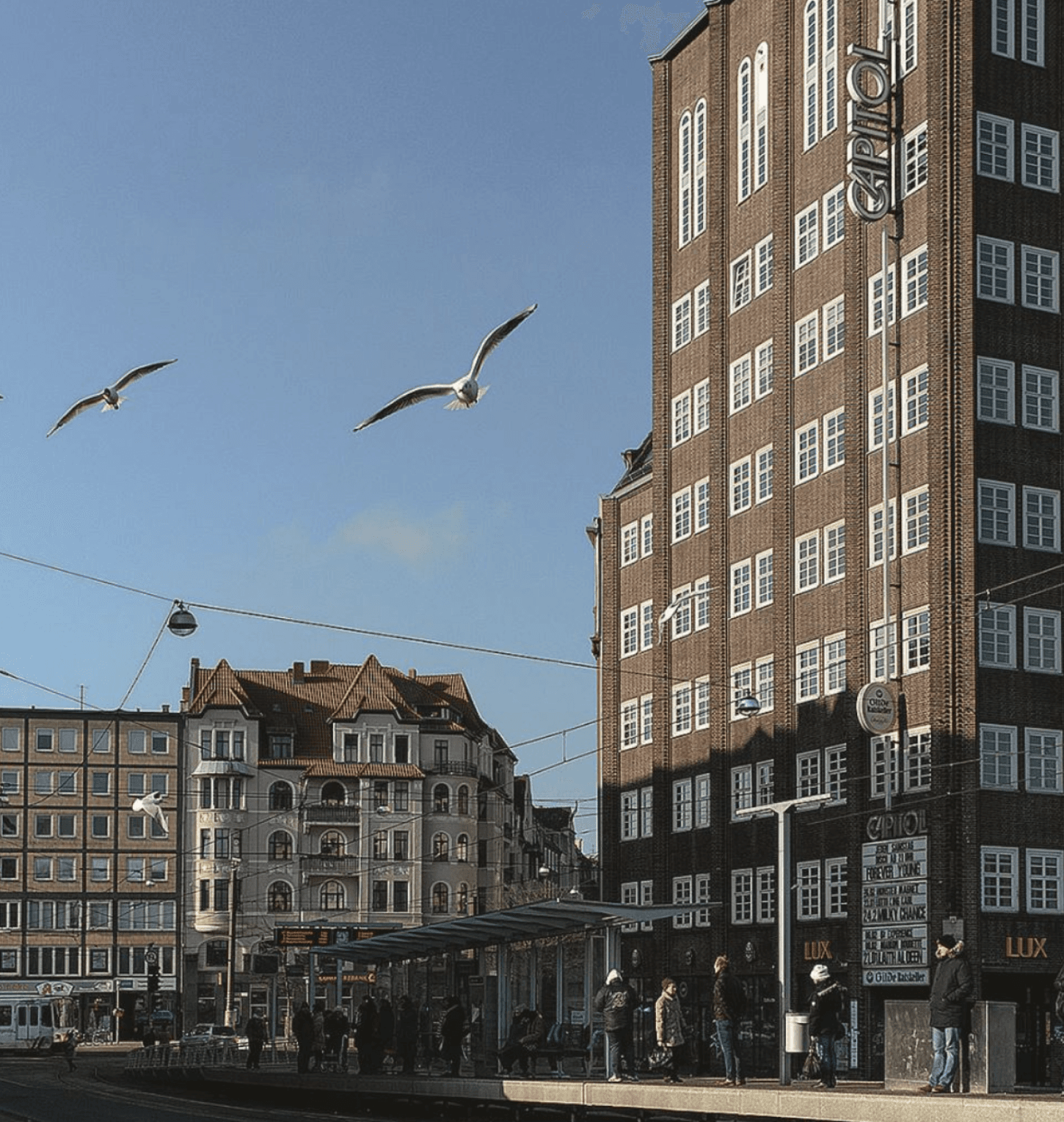 Das Capitolhochaus am Schwarzen Bär